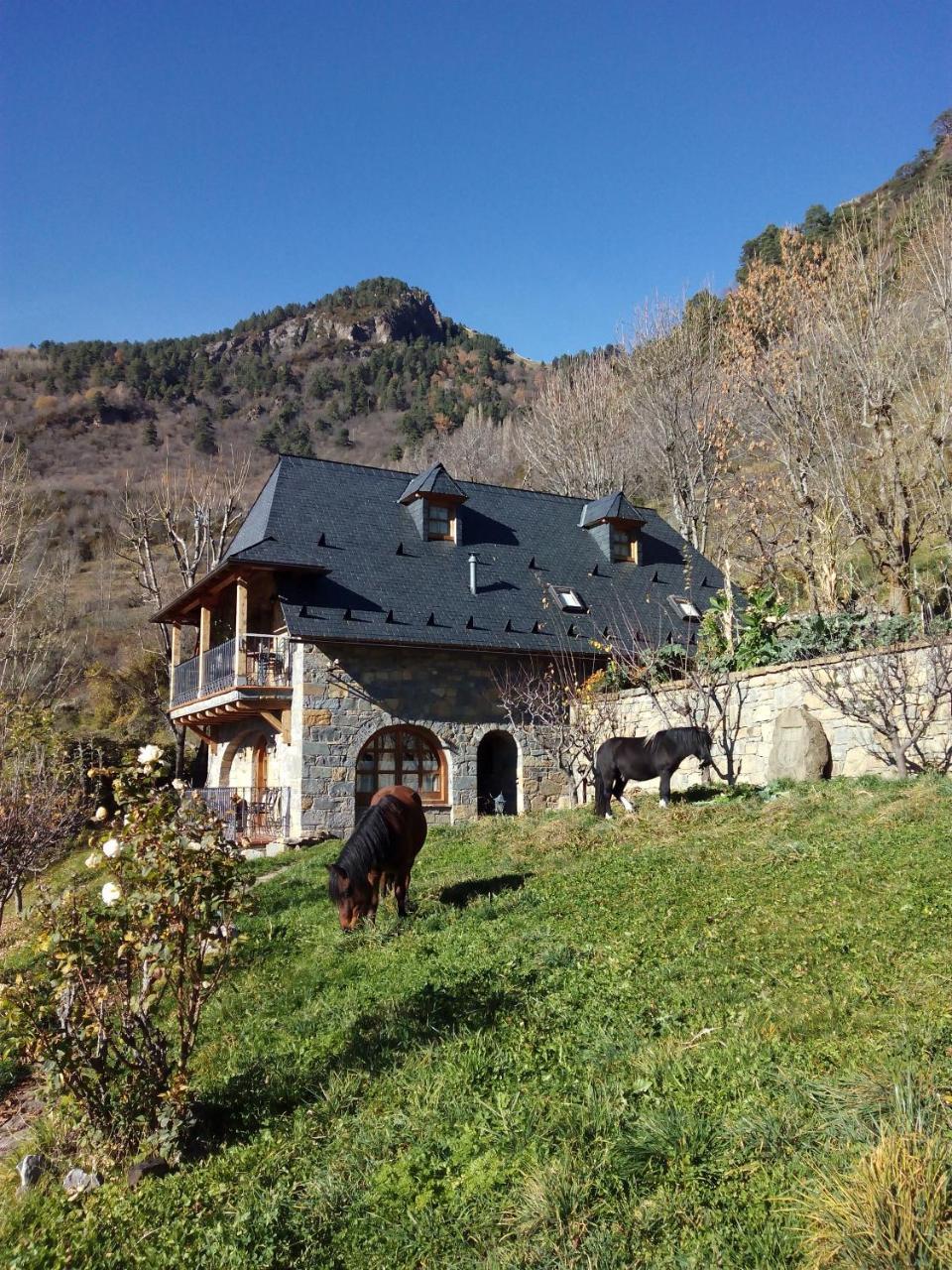 Casa Rural Fontamil Gistaín Esterno foto